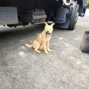 우림슈퍼 이미지