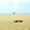 시골밥집 이미지