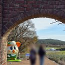 동백목장 | 제주도 관광지 추천 에코랜드 테마파크 | 동백꽃 겨울 방문 후기