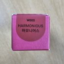 웜어스 | 봄웜톤 추천 힌스 무드인핸서 워터 리퀴드 글로우 03 하모니어스 내돈내산 후기 (+로로즈 비교 발색샷)