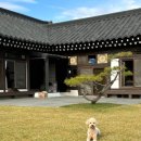 별하한옥펜션 이미지