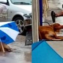 기다리다 이미지