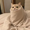 (주)공사물류