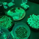 동네 노래연습장 이미지