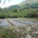 곡성-155 이미지