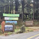 청태산 자연속으로 | 너무 좋아 재방문한 자연휴양림 _ 청태산자연휴양림 / 연립동 자카르타 방문후기