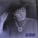 와일드 캣츠 이미지