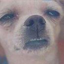 몽글몽글 이미지