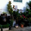 오페라모텔 이미지