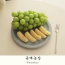 윤채농장 네이버블로그
