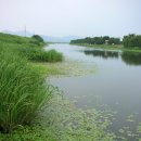 송산유원지 이미지