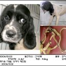 간석1동-6 이미지