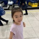 올쌈바게임장 | 이집트 카이로 1 * 힐튼 카이로 헬리오폴리스, 이집트 첫 날.