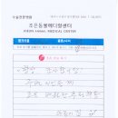 늘조은동물병원 이미지