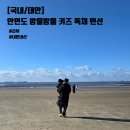 방울방울키즈펜션 | [국내/태안] 안면도 방울방울 키즈 독채 펜션 숙박 후기 (내돈내산)