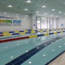 넘버원수영이야기 이미지