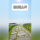 차성서로31 네이버블로그