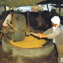 방앗돌굴리는노래 이미지