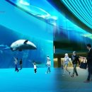 관광단지로(동) 이미지