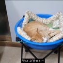 숨숨집 이미지