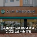 소나무동물메디컬 센터 | 슬개골수술 찐후기 : 인천계양구효성동 소나무동물메디컬센터 (소나무동물병원)