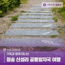 신성리 공룡발자국 | 가족과 함께 떠나는 청송 신성리 공룡발자국 여행