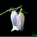 방태산 가는 길 이미지