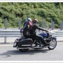 풍기인삼시장 이미지