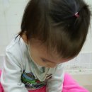 혜리농장 이미지