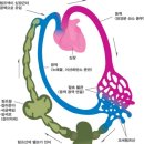 사라의시간피부앤바디연구소 네이버블로그