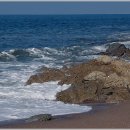 해변풍경 이미지