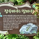 폭서암 이미지
