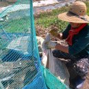 이기봉농장 이미지