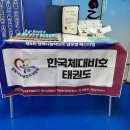 한국체대 비호태권도 이미지