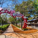 부곡온천중앙로 이미지