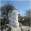 와우2리 이미지