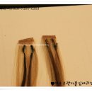 머리모양헤어샵 네이버블로그