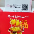 우석대 라이온 태권도 이미지