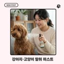 메가웰스 | 강아지 냄새 관리 이렇게 쉬웠나? 목욕 사이 케어로 쓰기 좋은 가성비 탈취 미스트 솔직 후기!