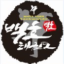 SK스탈릿백호태권도장 이미지