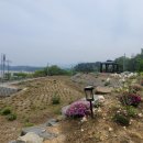남경공인중개사사무소 이미지