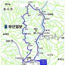 단지봉민박 Daum카페