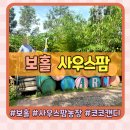 코앤덕농장 | 보홀 사우스팜 데이유즈 아이와 농장 체험 &amp; 코코캔디 만들기 대만족