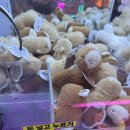 대빵오락실 수유2호점 이미지