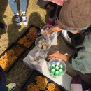 박달재초록꿈체험마을 이미지