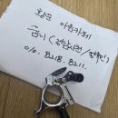알리발/// 어비스 엑스텐션 플렉스 이미지