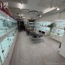 단비캣 이미지