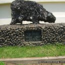 토산초교 2 이미지