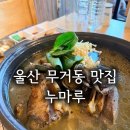무거동 LG 베스트샵 앞 | 울산 무거동 맛집 누마루, 문어오리백숙 가족 외식 솔직 후기(주차정보)