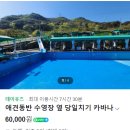 애견동반 멍멍아노올자 이미지